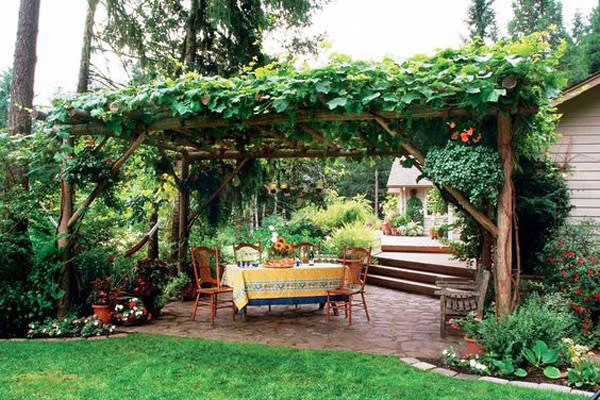 grape arbor patio