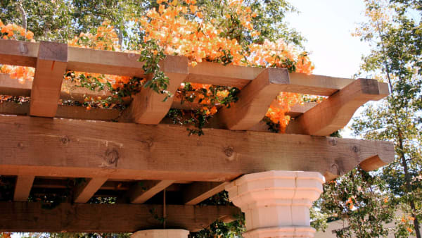 Look for wood treatments that are safe around gardens