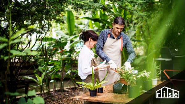 permaculture principles