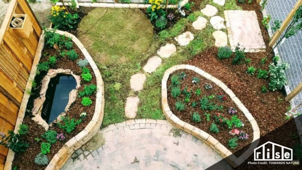 permaculture design