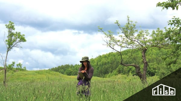 permaculture designer