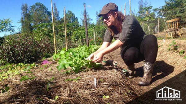 permaculture examples