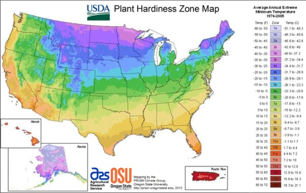plant hardiness map