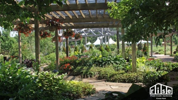 plant shade