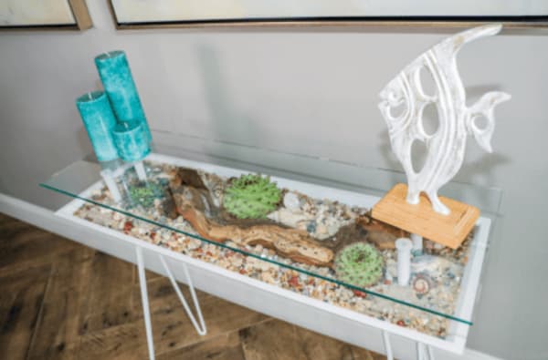 succulent plant table