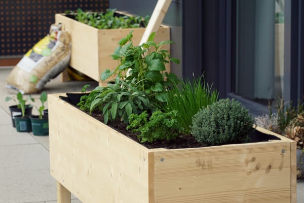 raised vegetable bed on balcony