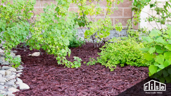 recycled rubber mulch
