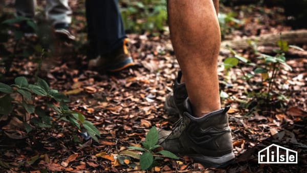 reduce ecological footprint