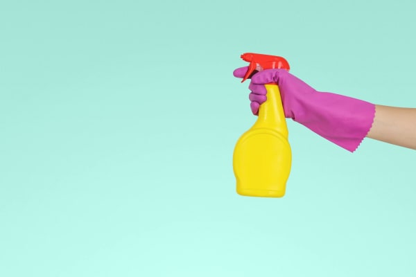 spray bottle