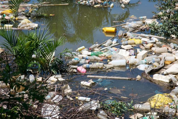 Stormwater Pollution Save Water Texas