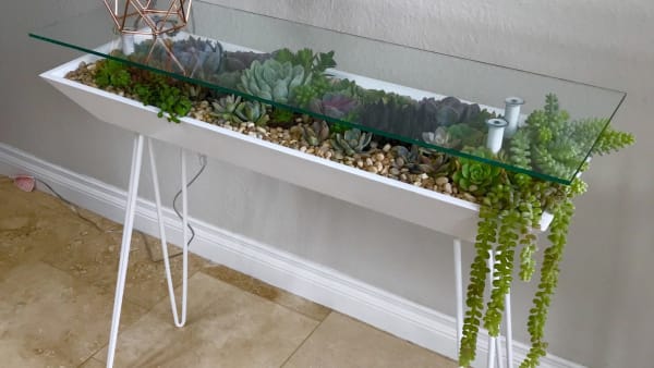 succulents table