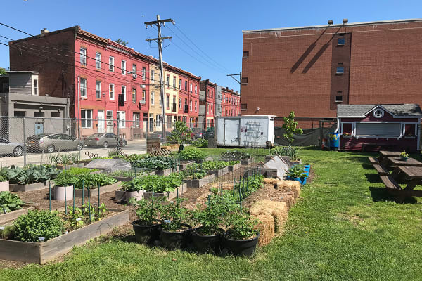 tiny home temple university garden