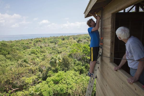 the dorie story out the window