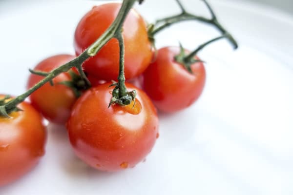 ripe red tomaoes on vine