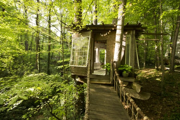 urban tree house bridge ropes