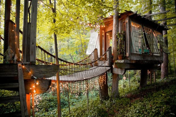 urban tree house evening lights