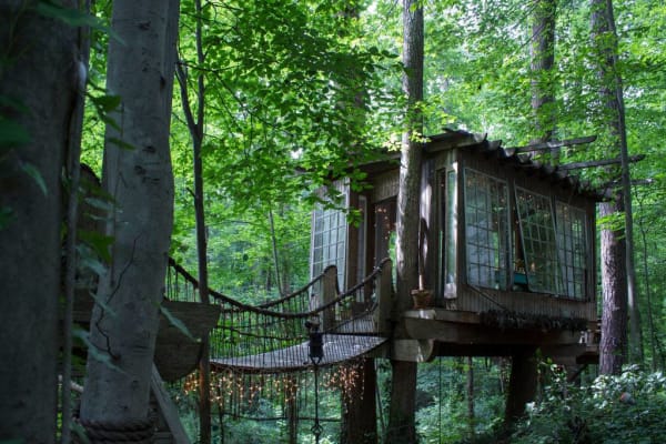 urban tree house exterior lights