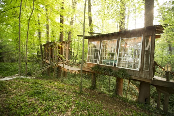 urban tree house exterior windows