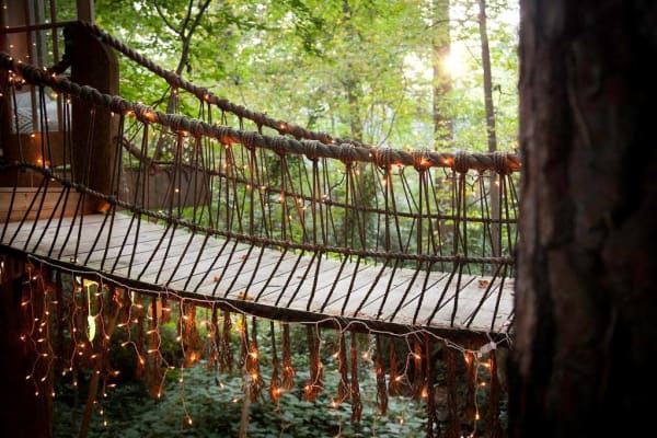 urban tree house rope bridge