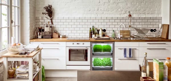 urbancultivator