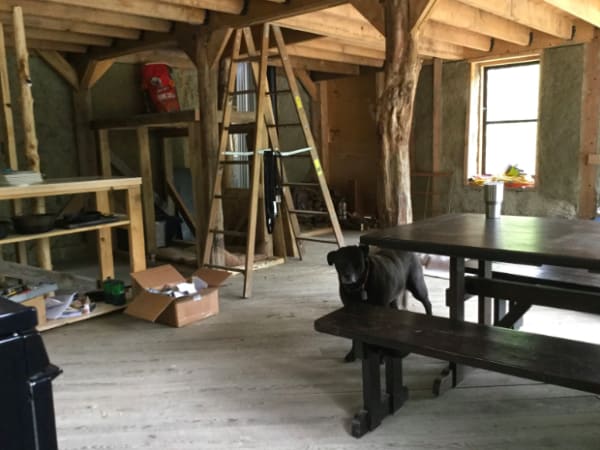 building a sustainable house