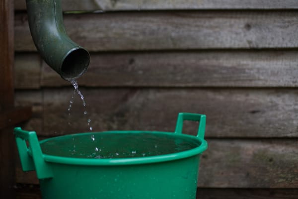 water harvesting system