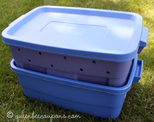 worm bin compost Queen Bee Coupons
