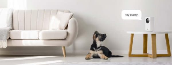 wyze indoor security camera