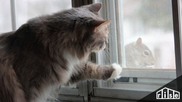 The Triple Benefit of Triple Pane Windows