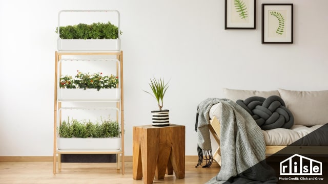 Indoor Gardening Systems Header