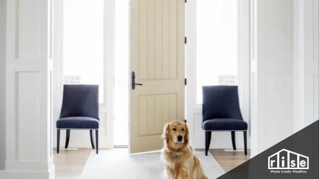best exterior doors