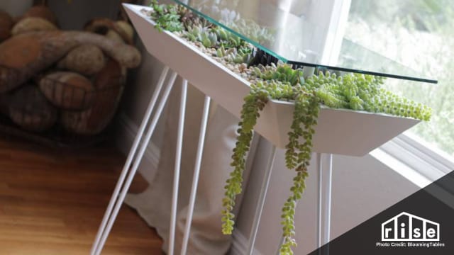 bloomingtables