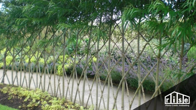 creative permaculture