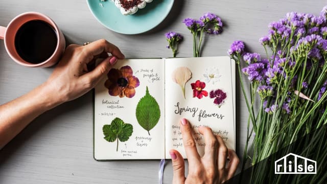 permaculture books
