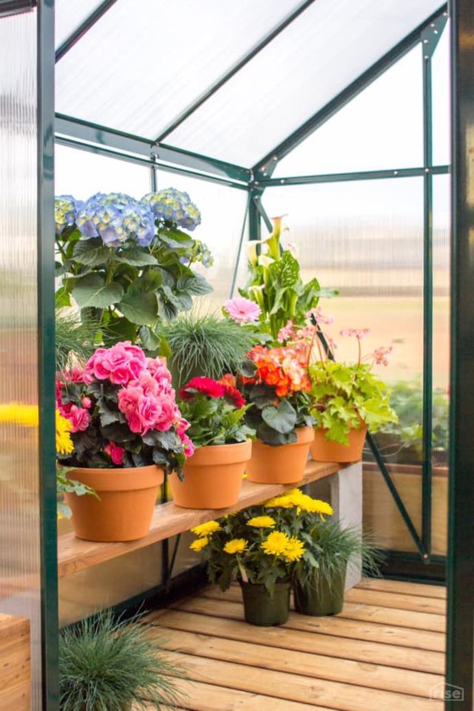 The Elsa A Tiny House with a Greenhouse