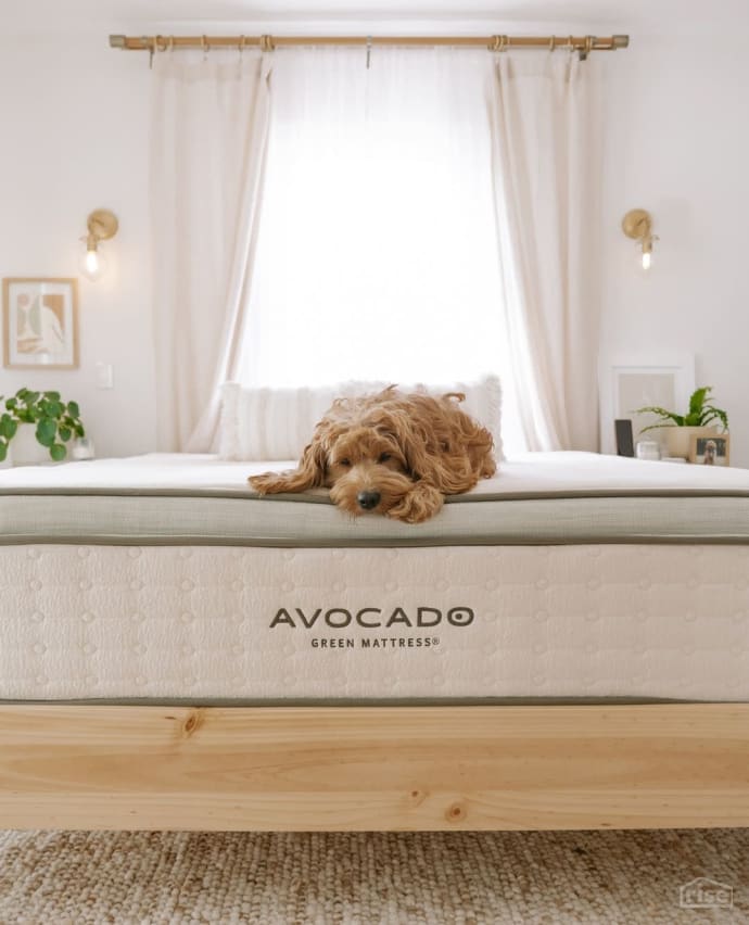 Sustainable Mattresses A Complete Guide