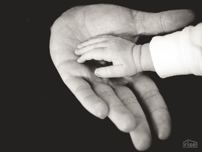 Parent and Baby Hands