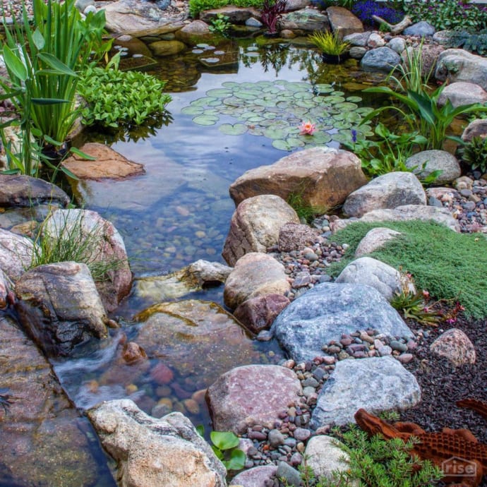 Backyard Water Feature California Waterscapes