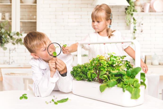 Click and Grow Smart Garden 9