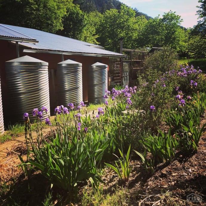 Corrugated Metal Roof Polinator Sanctuary Instagram
