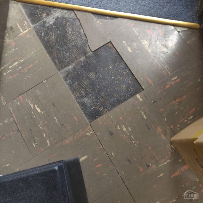 Floor and Tile Mastic Indoor Science