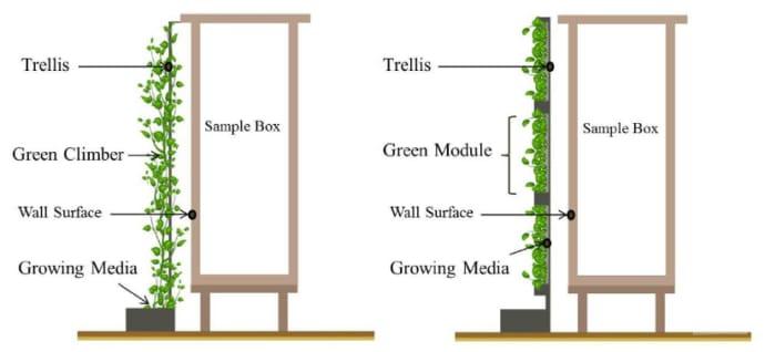green facade vs living wall