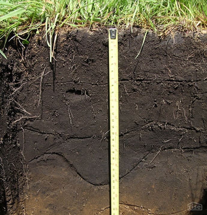 How to Prevent Earth Erosion