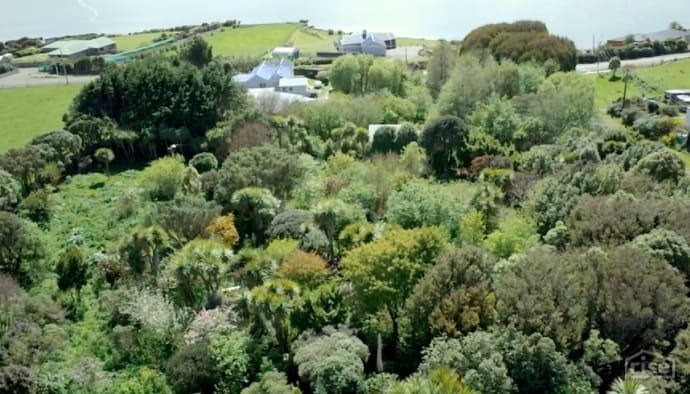 new zealand food forest