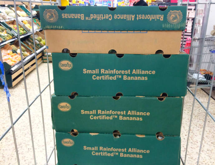Rainforest Alliance Certified Bananas