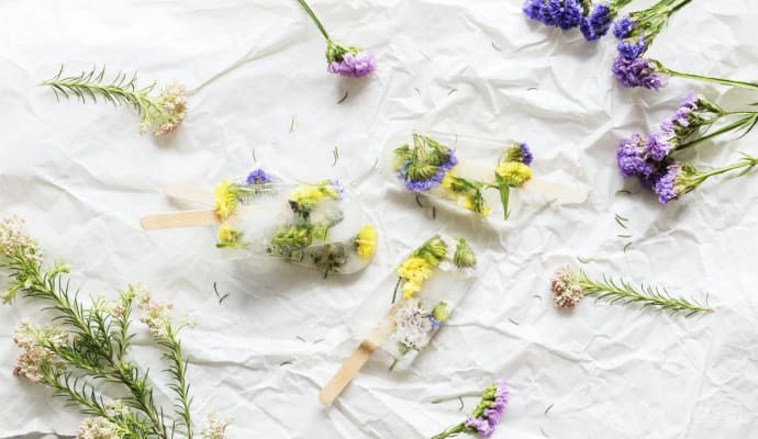 Wildflower Popsicles