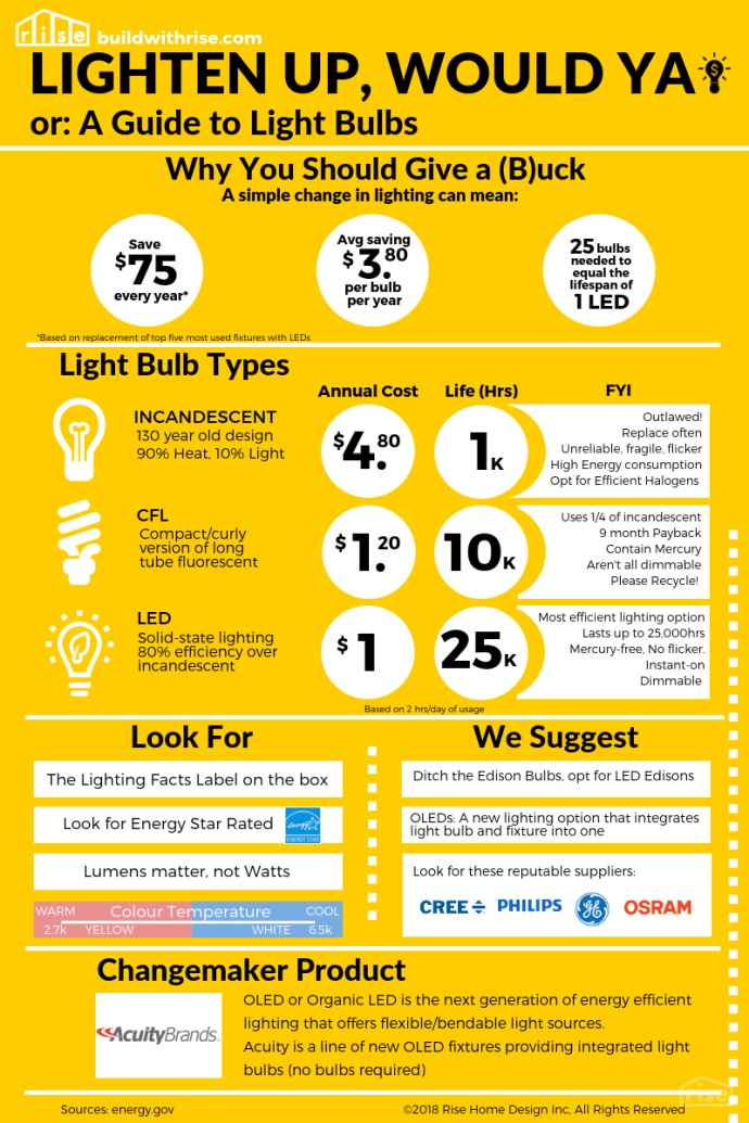a guide to lightbulbs infographic