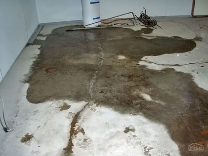 How To Stop Mold From Growing In Your Home