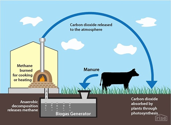 biogas from animal manure