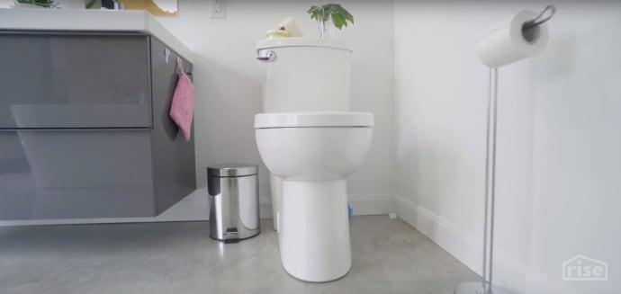 dual flush toilet bowl